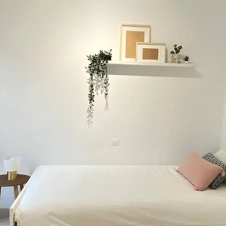 Apartment Welcoming For In Palmas!